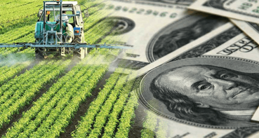 Fuerte reclamo del agro: advierten que producir trigo ser&aacute; m&aacute;s caro y apuntan contra las retenciones