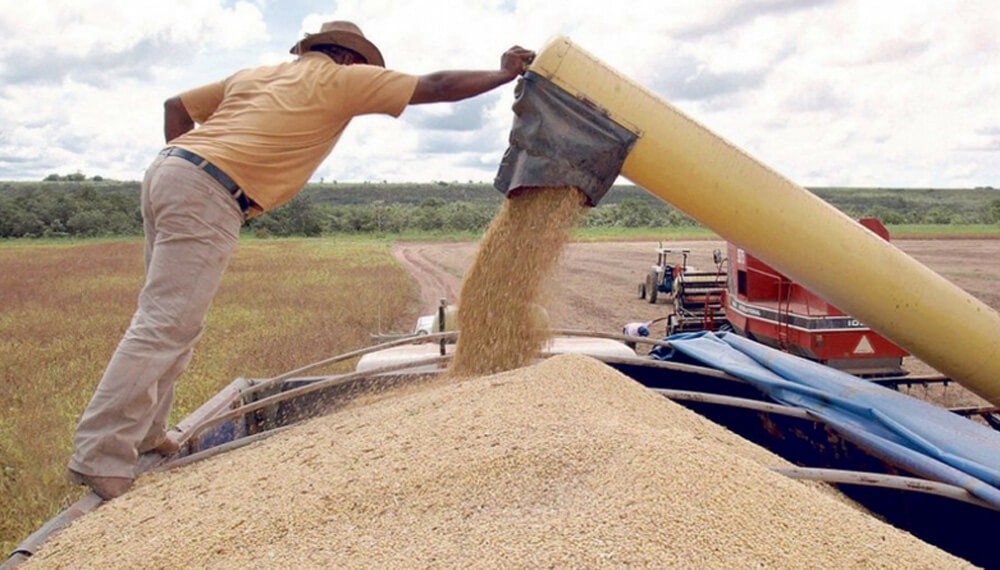 El Gobierno aumentó el saldo exportable de trigo: el agro niega haberlo convalidado