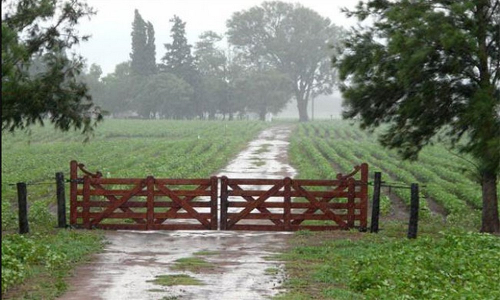 Las lluvias abrieron nuevas expectativas en los productores agrícolas