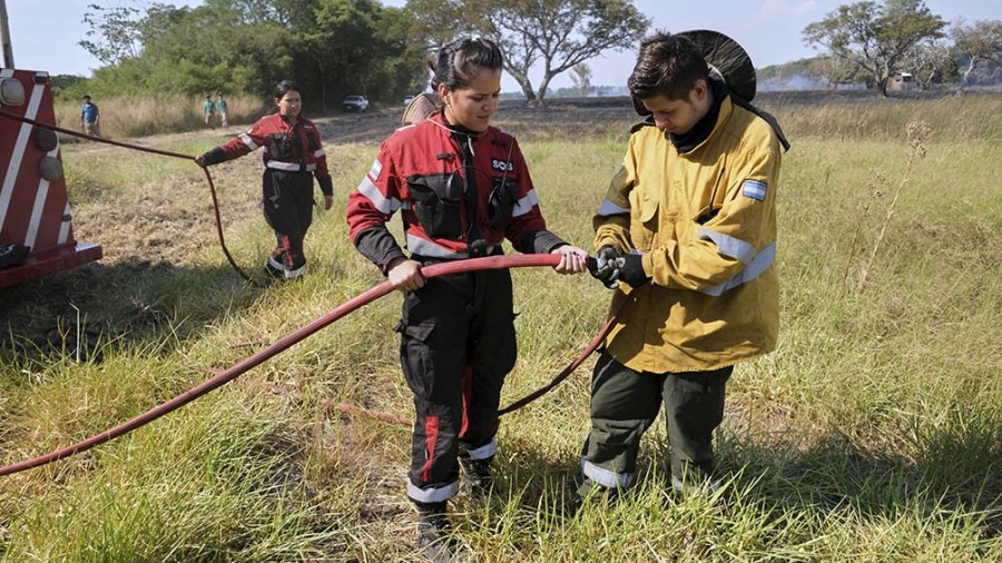 Misiones, Corrientes y Río Negro presentan focos activos de incendios forestales