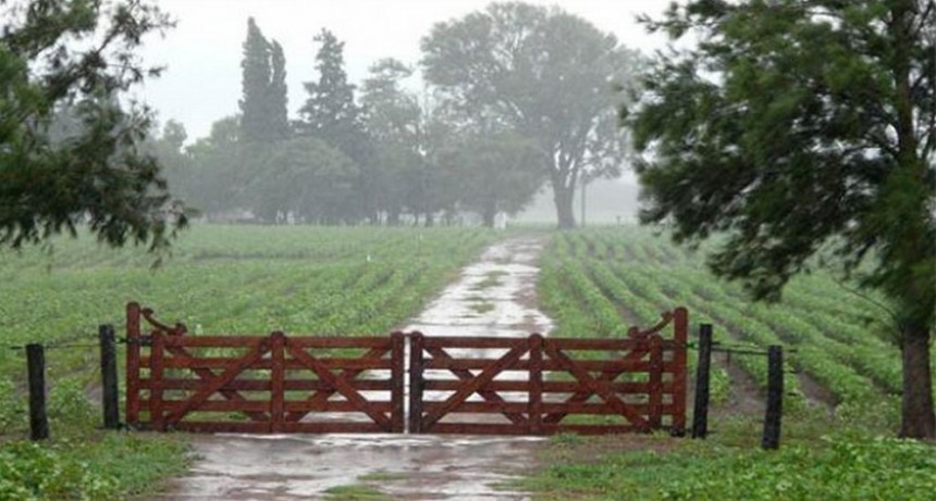 Las lluvias abrieron nuevas expectativas en los productores agrícolas