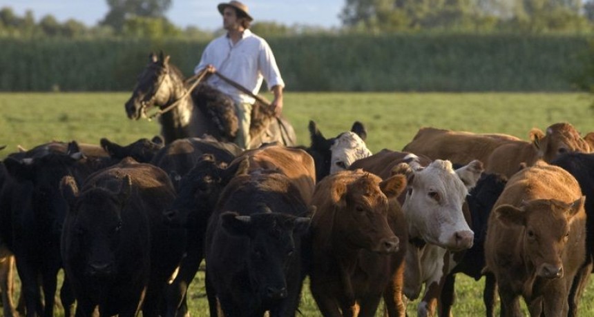Por la sequía, los tambos contarán con menos reservas para pasar el invierno