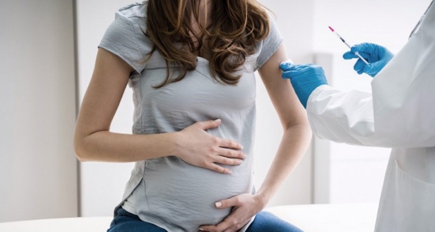 Aseguran que la vacunación contra el coronavirus no afecta a la fertilidad ni el embarazo