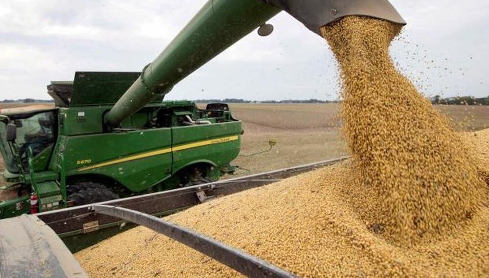Las últimas lluvias despejaron los peores escenarios de cosecha en soja y maíz