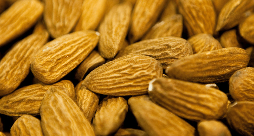 Las gestiones dieron fruto y Brasil abre su mercado a las almendras argentinas