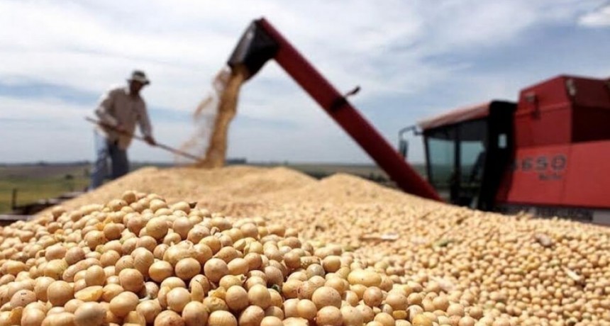 Con una mejor cosecha, Argentina volverá a dar pelea en el mundial de las commodities agrícolas