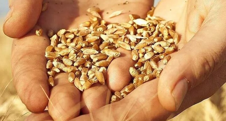 El Gobierno nacional defendió la adhesión a un convenio internacional de semillas