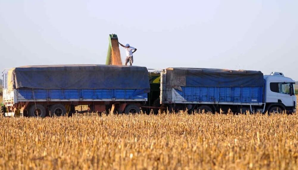 El Gobierno formalizó la baja de retenciones para granos y su eliminación en economías regionales