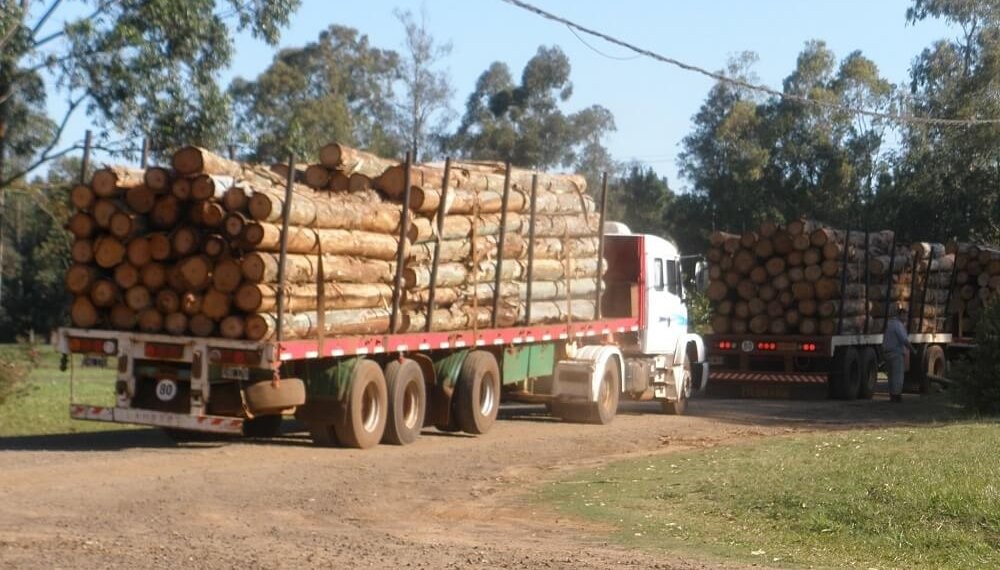 “Es una transgresión grave”: una provincia del agro endurece multas por exceso de peso en camiones
