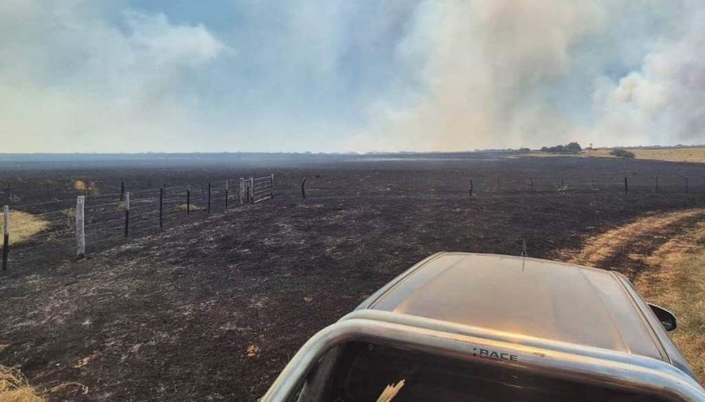 La Pampa bajo fuego: un avance temible de incendios que devora campos, hacienda y futuro