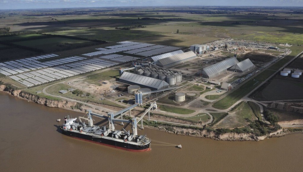 ¿Quiénes lideraron el negocio de la exportación de granos en el último año?