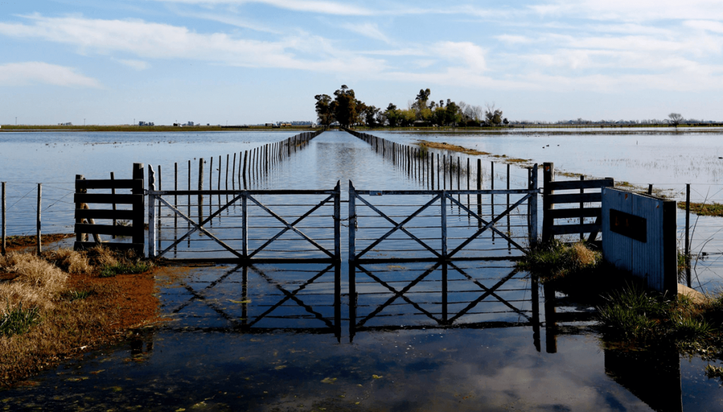 Plan Maestro del Salado: Buenos Aires licita un tramo de la obra, con financiamiento europeo