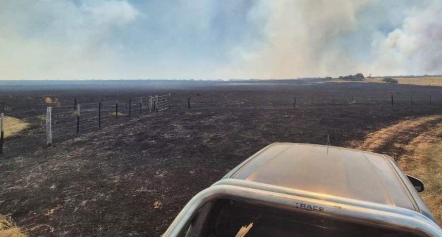 La Pampa bajo fuego: un avance temible de incendios que devora campos, hacienda y futuro