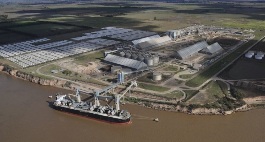 ¿Quiénes lideraron el negocio de la exportación de granos en el último año?