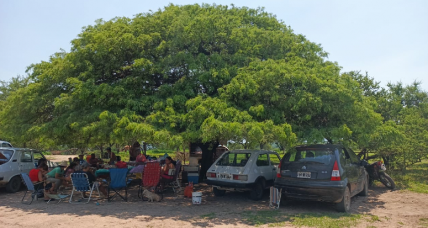 Bajo la sombra que nos junta