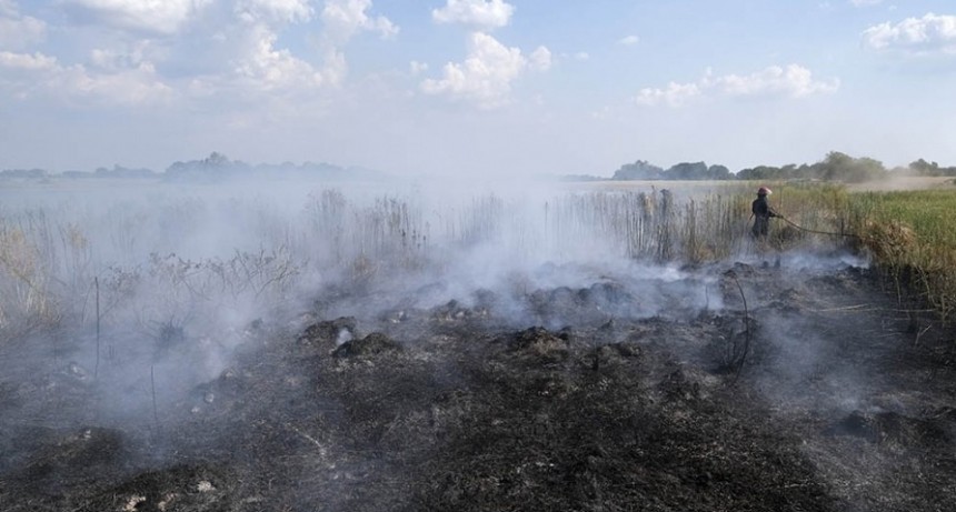 Créditos de hasta $1,5 millones para productores rurales afectados por incendios 