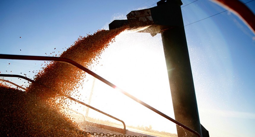 Amplio rechazo del sector al fideicomiso de trigo y maíz