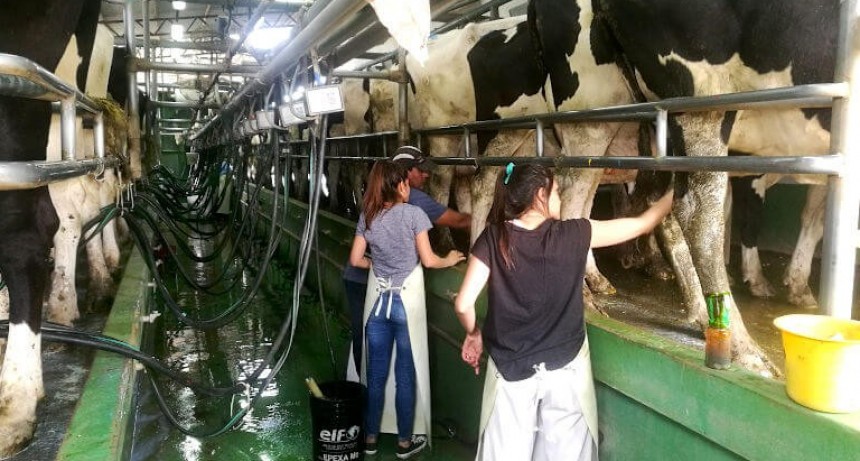 Los tambos argentinos cerraron otro año con el precio de la leche más bajo a nivel mundial