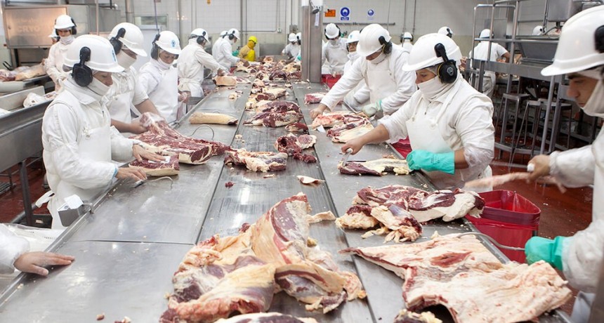 “Vaca loca” en Brasil: ¿puede haber un “boom” de mercado o el impacto sería bajo?