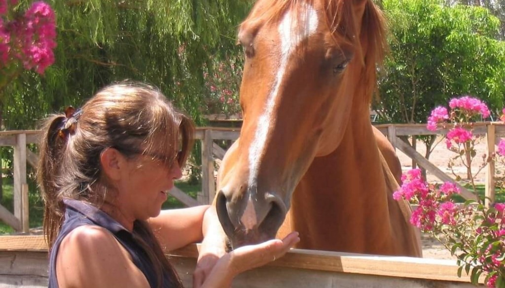 Del salto ecuestre a la equinoterapia: “A los caballos hay que agradecerles, son seres fantásticos”