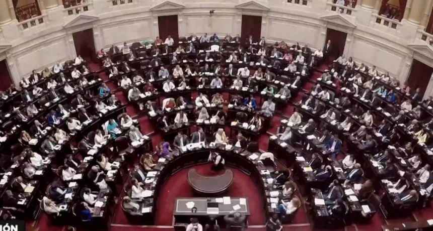 Se reinicia el debate de la “Ley Ómnibus”, con biocombustibles y UPOV 91 como temas “calientes” para el agro