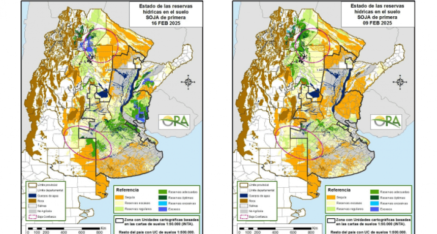 “Los almacenajes siguen aumentando”: la principal zona sojera, testimonio del repunte tras las lluvias