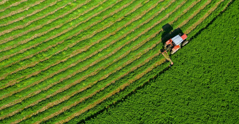 La alfalfa argentina rompe récords y se afirma como potencia exportadora
