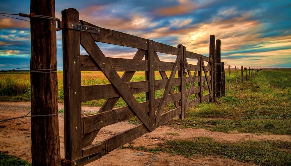 Campos en alza: la puja entre compradores activos y una oferta mínima recalienta el mercado rural