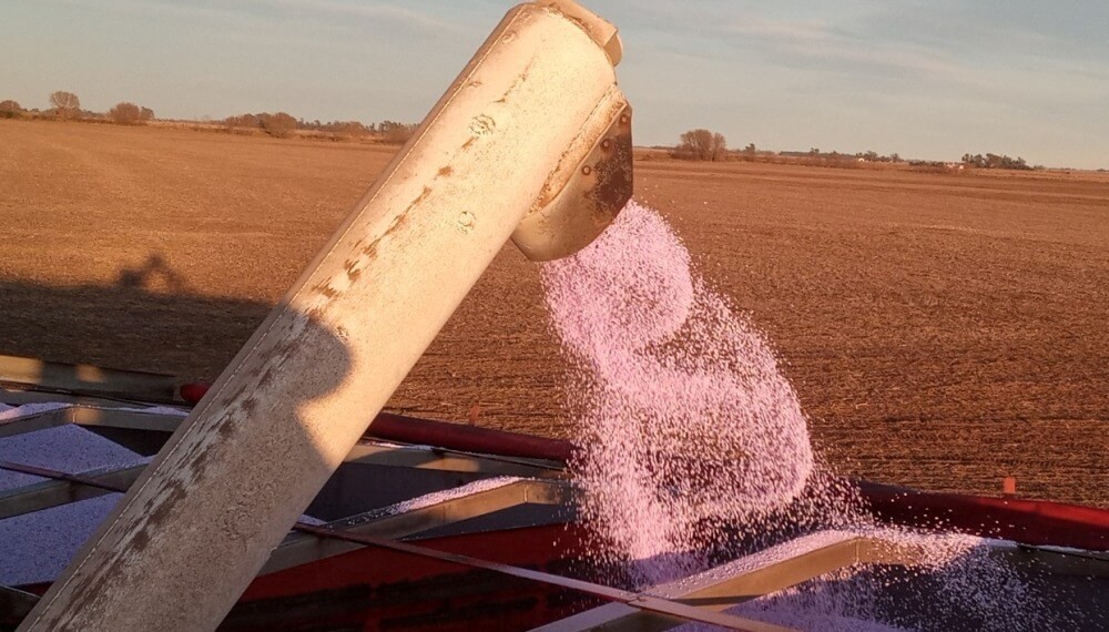 El negocio del agro se fortalece en 2026 con récord de fertilizantes importados