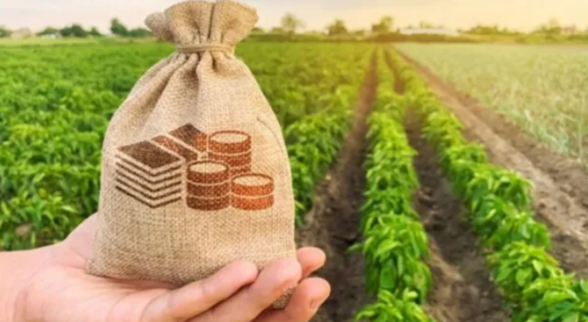 ¿Cuánto se lleva el Estado de una hectárea de soja?: el peso impositivo vuelve al centro del debate