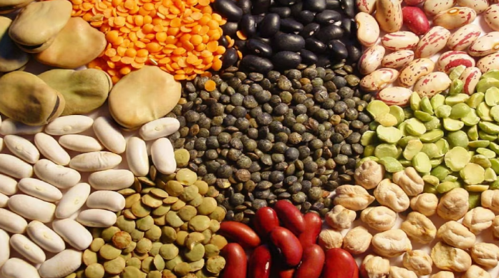 Las legumbres pisan fuerte: proyectan cosecha récord y un salto exportador clave para el agro argentino