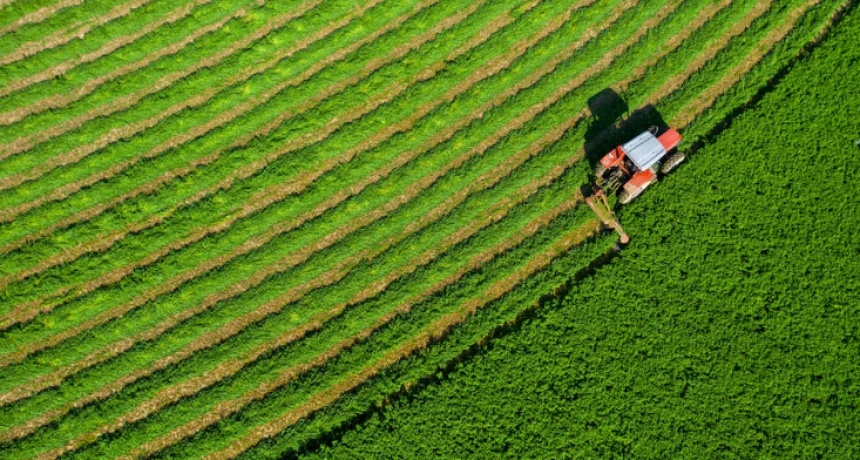 La alfalfa argentina rompe récords y se afirma como potencia exportadora