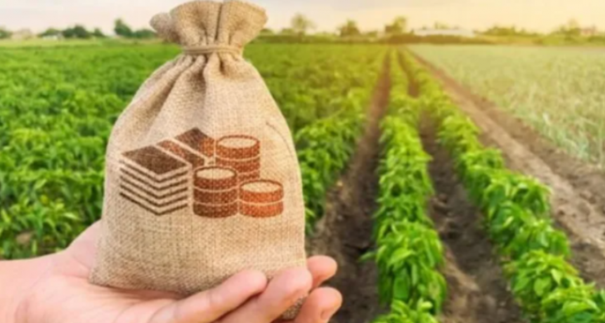 ¿Cuánto se lleva el Estado de una hectárea de soja?: el peso impositivo vuelve al centro del debate