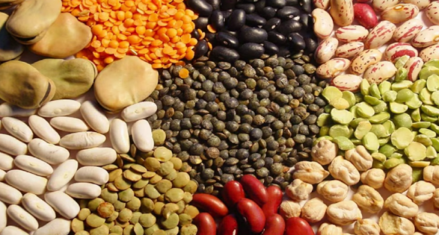 Las legumbres pisan fuerte: proyectan cosecha récord y un salto exportador clave para el agro argentino