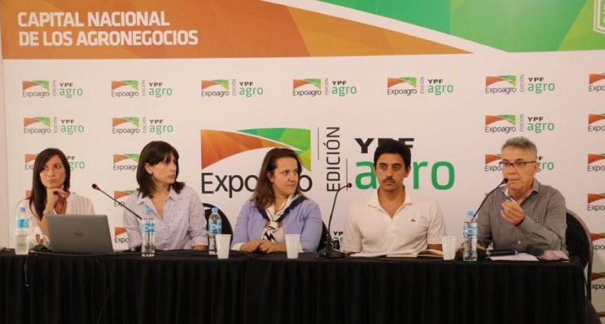 Pese a la suba del trigo y la soja, el maíz temprano sigue siendo lo más rentable en la zona núcleo