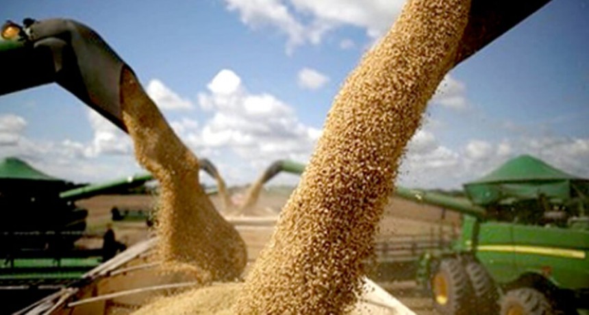 Retenciones: cómo es la nota de protesta que sugieren presentar al momento de vender granos