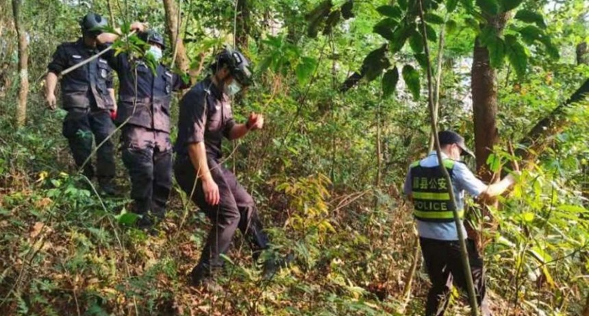 Sin haber encontrado sobrevivientes, continúan las tareas de rescate del avión caído