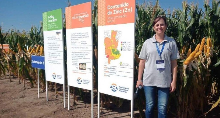 Déficit de nutrientes: “Los niveles de fósforo, azufre y cinc vienen cayendo de manera preocupante”