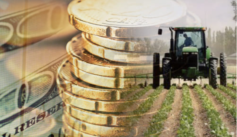 Encuesta récord: el 63% del campo cree que es un buen momento para invertir y crece la confianza en el plan de Milei