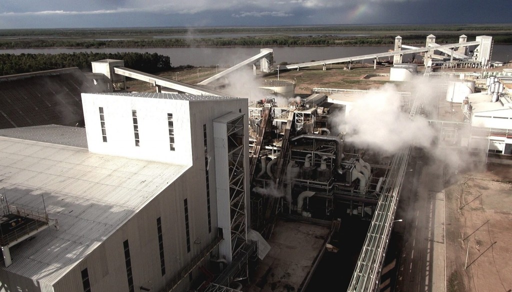 Caída histórica de la liquidación de divisas: agroexportadores apuntan al gremio aceitero