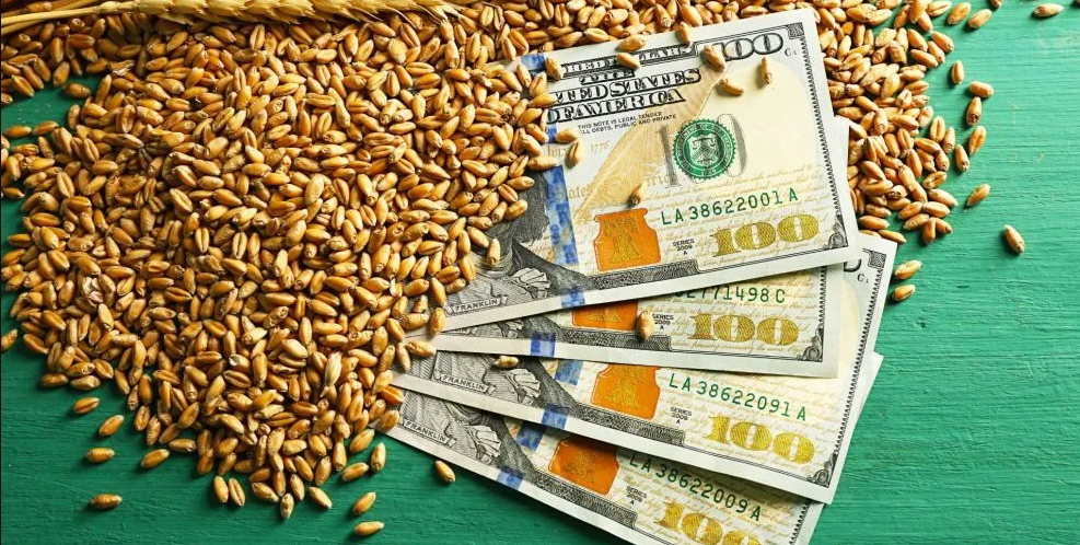 Retenciones en la cuerda floja: el Gobierno mide el costo fiscal antes de avanzar con otra baja