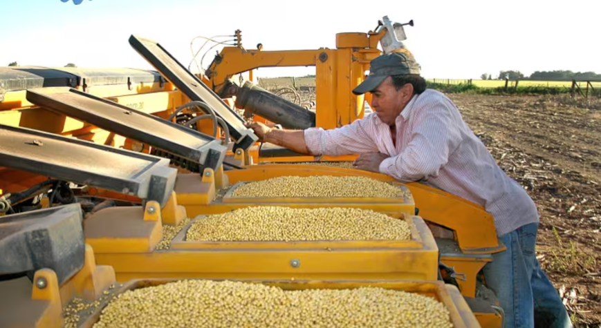 Ley de Semillas: reuni&oacute;n en Expoagro anticipa un debate caliente entre el campo y el Gobierno