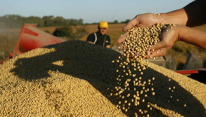 Argentina frente a una ventana &uacute;nica para la soja ante el conflicto global
