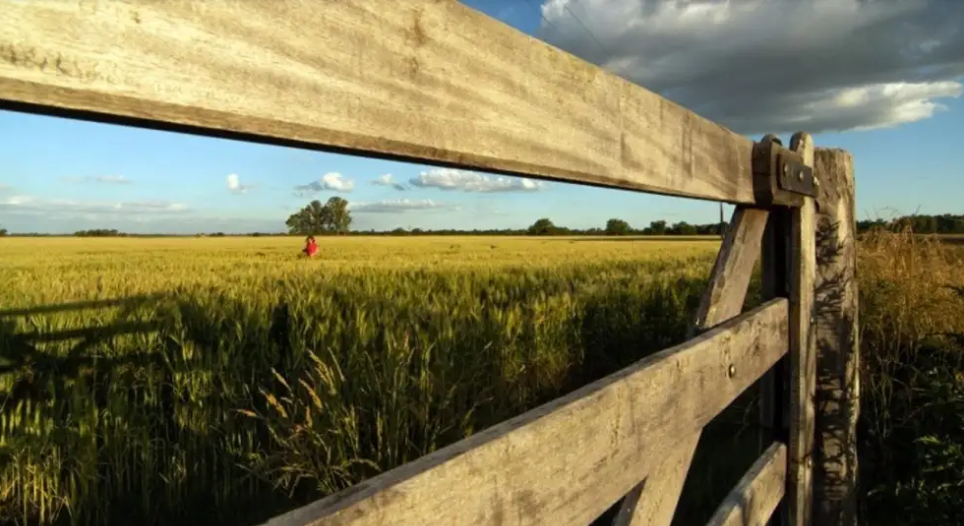 Alerta en el campo: crecen las chances de un nuevo fen&oacute;meno de El Ni&ntilde;o