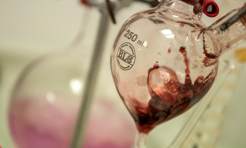 &ldquo;Como bailar con la hermana&rdquo; La pol&eacute;mica frase de Rodolfo Arizu sobre el vino sin alcohol