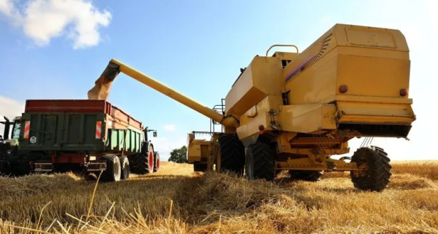 El campo podr&iacute;a duplicar su producci&oacute;n en una d&eacute;cada sin retenciones