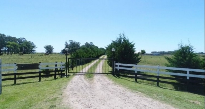 La actividad inmobiliaria rural registró una caída interanual de 49% en marzo