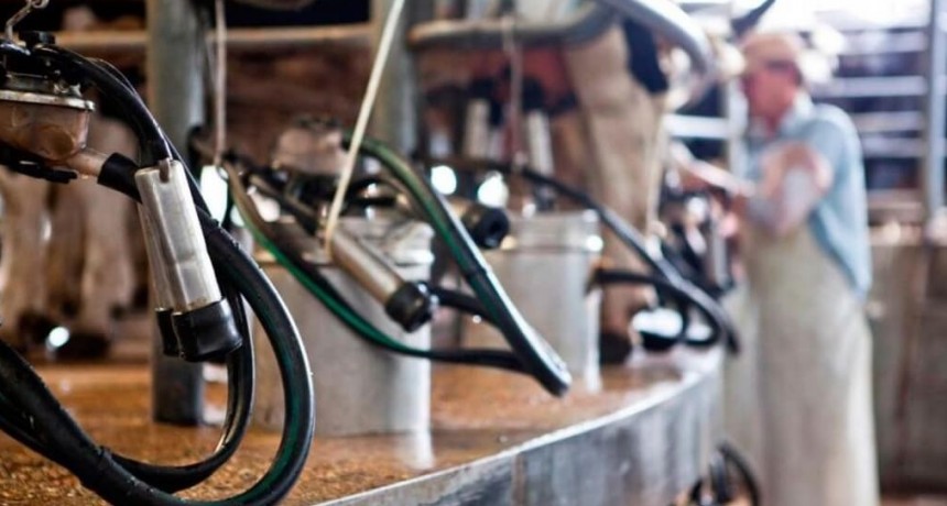 Los tambos ordeñan cada vez con más productividad: los datos que reveló una encuesta del INTA