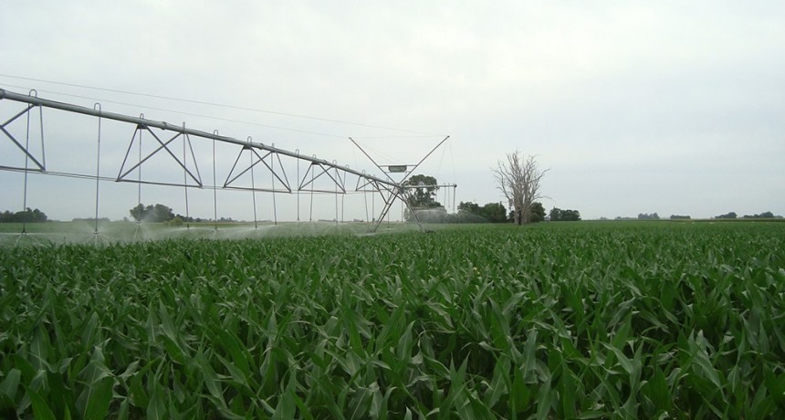 El Plan Nacional de Riego ya avanza con inversiones por U$S 1.500 millones