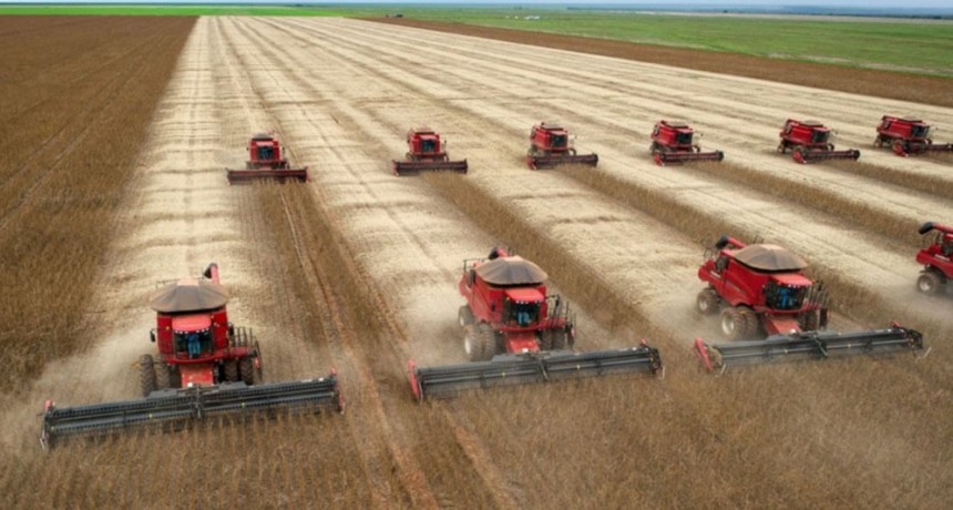 “Estables, con posibilidades bajistas”: las flechas no apuntan a favor de Argentina en el mercado de granos